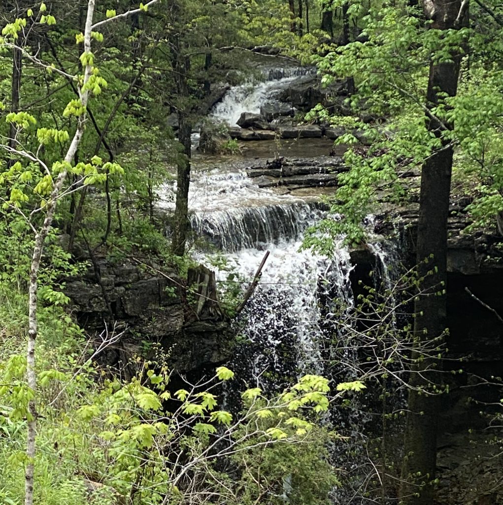 This beauty can be seen from the deck of #2 cabin or by the walking path on the bluff cabins side.
